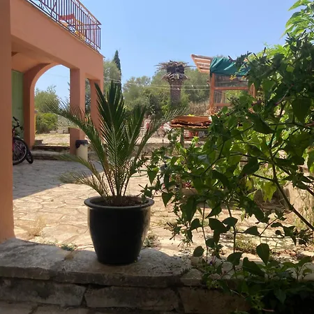 Daire Kokkini Peach Budget *
